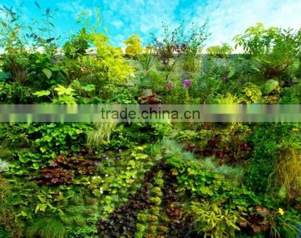 Artificial Grass Wall Fake Plastic Green Wall Cheap Plant Artificial Wall photo-4