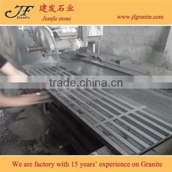 G654 Padang Dark Granite Blind Paving Stone photo-3