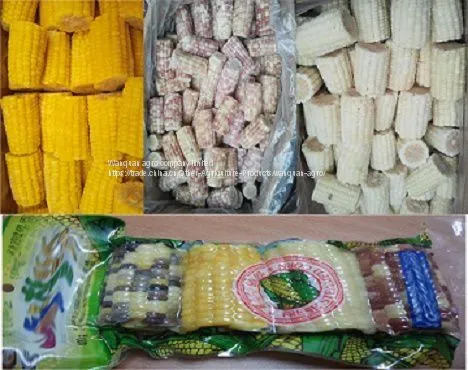IQF Sweet Corn