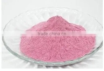 Hot Sales Instant Fruits Flavored Drinks Powder photo-2