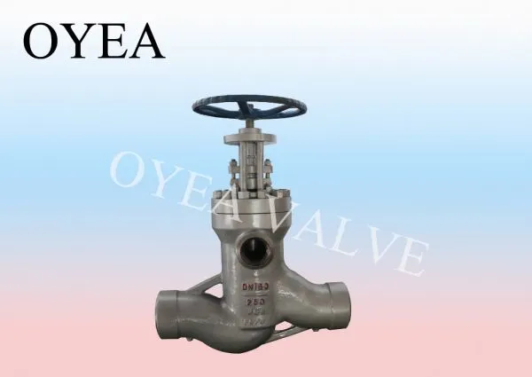 ANSI GB Cast Steel Power Station Globe Valve