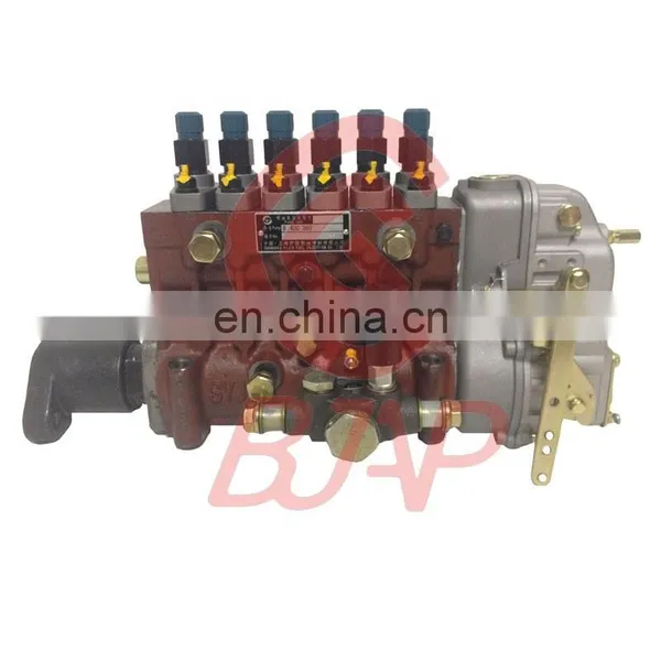 Injection Pump 8400360560 8 400 360 560 Pump 6P8-1000 photo-3