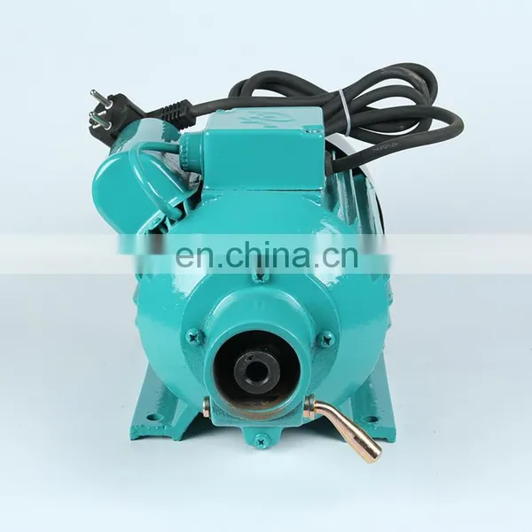 China Manufacturing Portable Concrete Vibrator Used for Building Construction photo-6