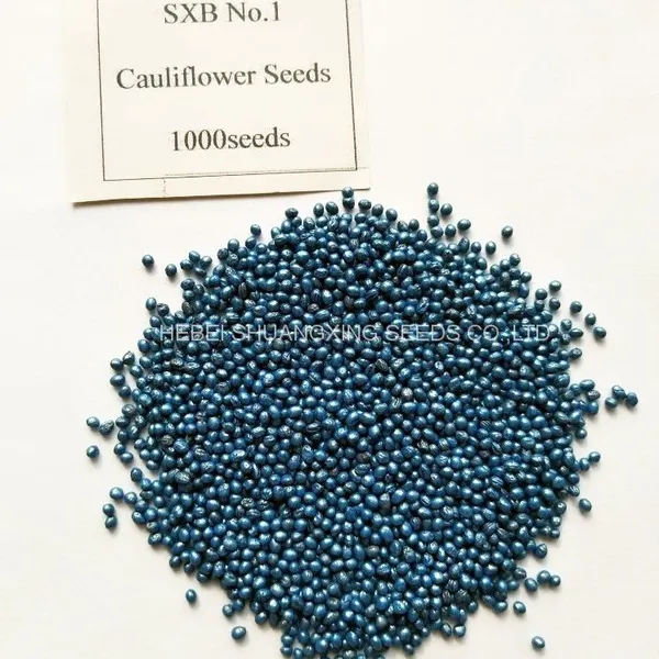 F1 Hybrid Beautiful Green Cauliflower Seeds /Broccoli Seeds photo-4