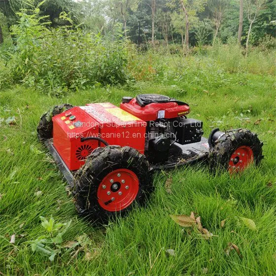 Low Price Remote Control Bank Mower photo-5