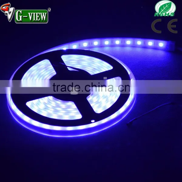 High Power Led Strip Light, 5050smd Led Strip Light photo-4