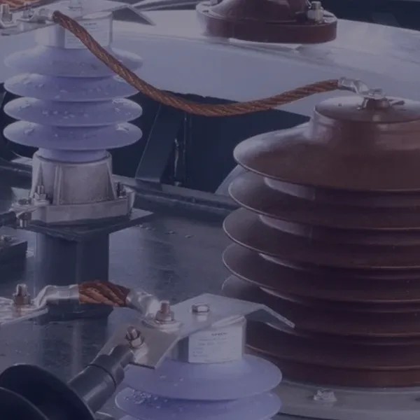 3EE2450-2CA0-Z︱Siemens SPECIAL-PURPOSE SURGE ARRESTER photo-1