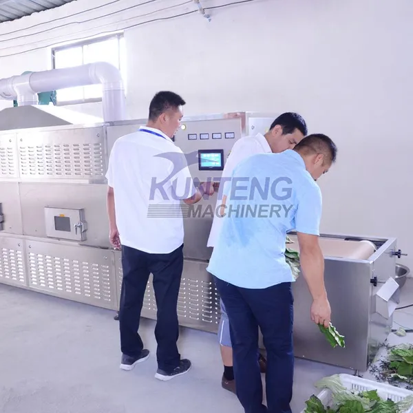 Industrial Yellow Mealworm Crayfish Spices Lotus Leaves Microwave Sterilization and Drying Machine photo-5