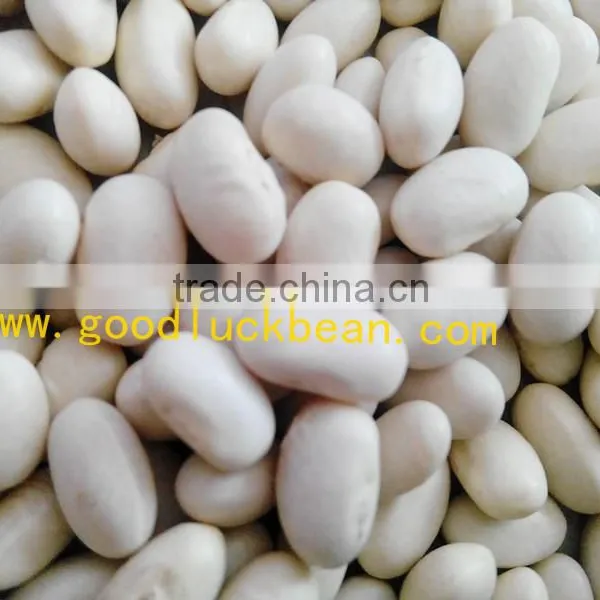 High Quality White/Black Pulse Beans photo-4
