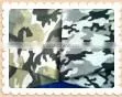 tc 65/35 21*21 108*58 57/58'' Military Uniform Camouflage Fabric photo-2