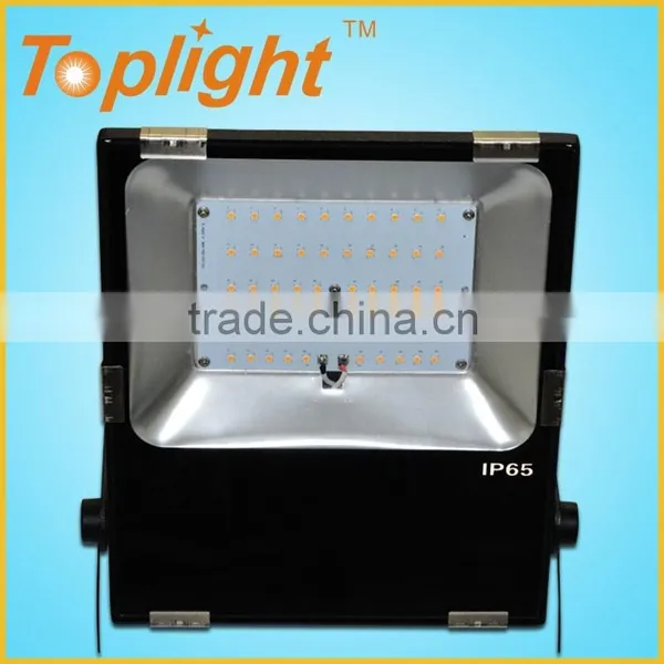 High Power LED Luminaire Light 100W Flood LED Lamps With Meanwell Driver UL Listed photo-3
