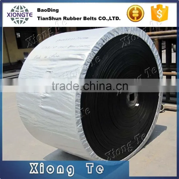 Conveyor Belt Used in Mining Mini Conveyor Belts Nylon Conveyor Belt photo-6