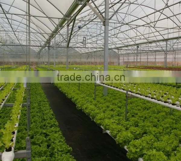 Hydroponics and Fertigation Controllers for Hydroponic Greenhouses photo-6