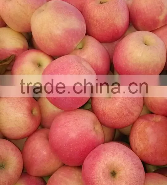 Gansu Qinguan Apple photo-3