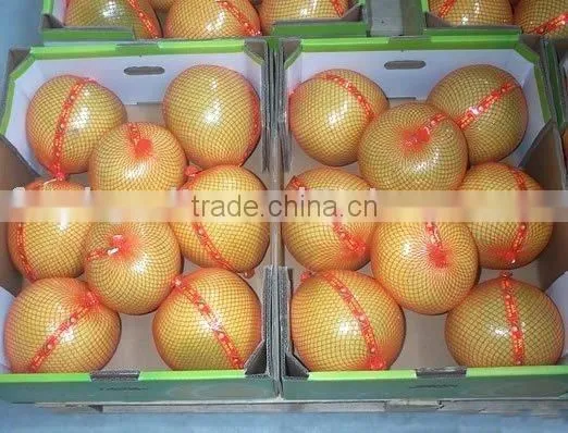 Pomelo