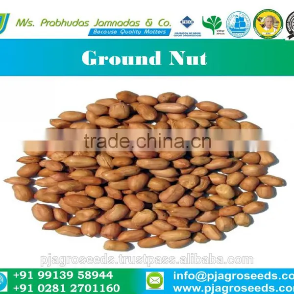 Groundnut for Seed/Bold Groundnut/Java Groundnut photo-2