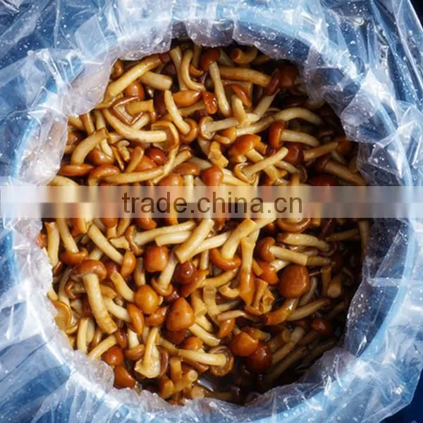 Large Edible Mushroom Supplier