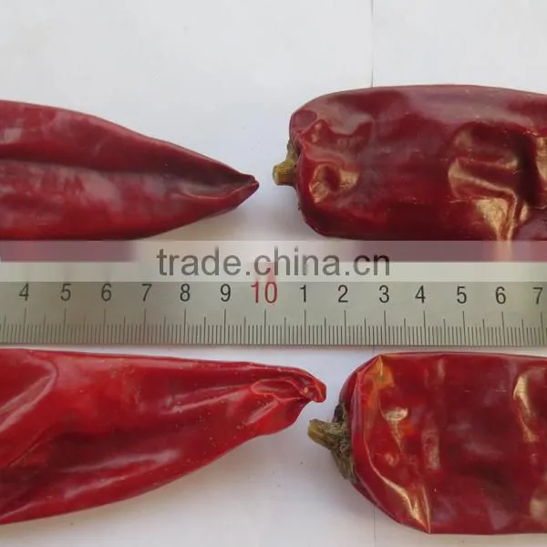 2015 New Crop High Qualilty 80-240 Asta With Competitive Price Sweet Red Paprika Chilli From China Manufacturer photo-5