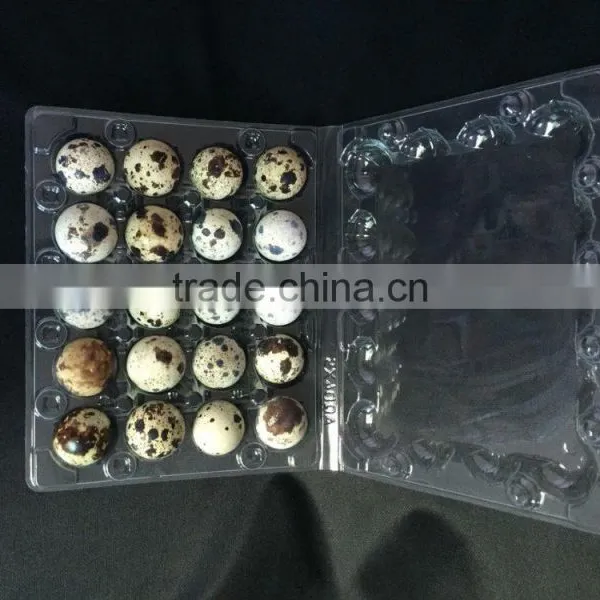 12 Pcs and 24 Pcs Quail Egg Tray /quail Egg Packing Box photo-2