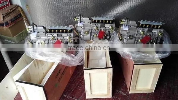 336 hp Howo Truck WD615 Diesel Engine Injector Pump in Fule Pump photo-3