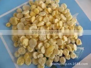 New Coming Top Quality Extruder Corn Flakes Machine photo-5
