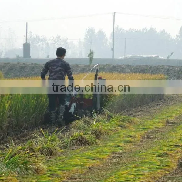 New Small Grain Binder for Sale photo-4