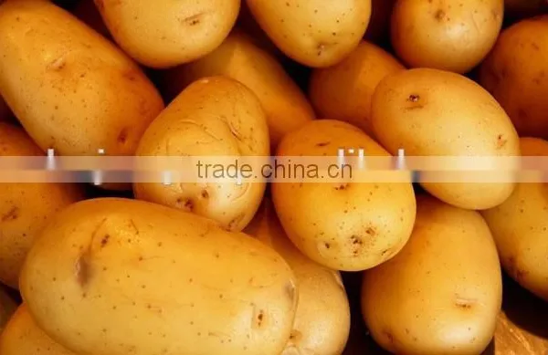 High Quality Commercial Use Potato Crisp Prodution Line/potato Crisp Prodution Machine photo-3