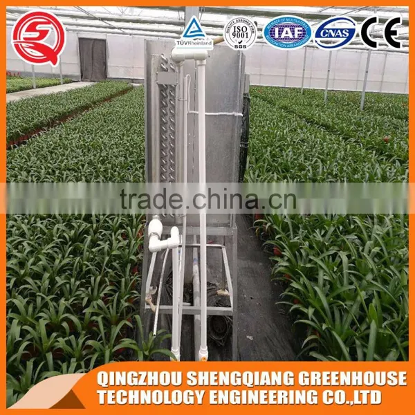 Factory Outlet Large Multi-span Glass Agricultural-commercial Greenhouses photo-4