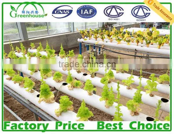 Multi Span Agricultural Type Poly Film Commercial Greenhouse photo-5