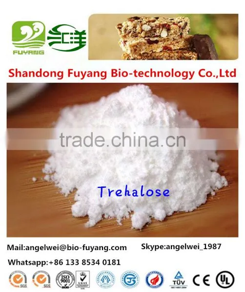 The Biggest Factory in China for Trehalose photo-6