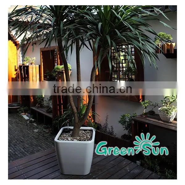 Selfwatering Hydroponic Growing Systems Planter Flower Pots Wholesale photo-3