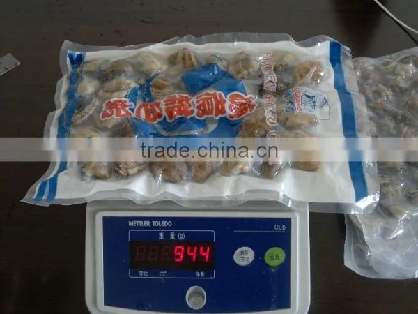 High Quality Vacum Packed Short Necked Clam photo-2