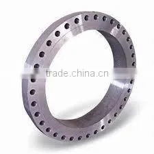 Forged Stainless Steel Flange(ANSI,EN,DIN,GOST) photo-4