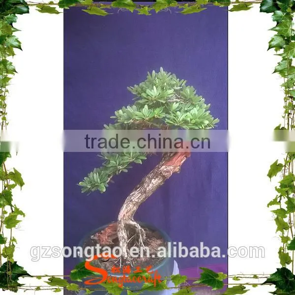 Best Price Hot Sale Domestic Artificial Small Bonsai Pine Tree photo-4