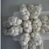 New Crop Fresh Garlic Are Avlailable