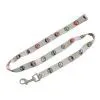 Dog Leash