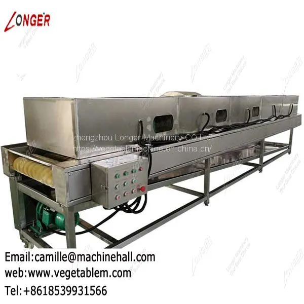 Dates Cleaning and Drying Machine|Fruit and Vegetable Cleaner Line|Automatic Dates Washing Line photo-3