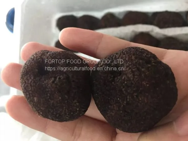 Factory Price Premium Quality Chinese Wild Fresh Black Truffle Mushroom Whole (3-5CM) photo-2