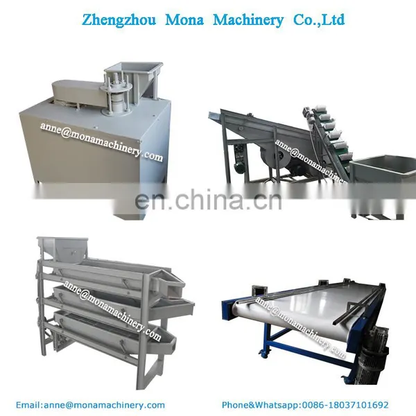 Walnut Cracking Processing Line | Walnut Nuts Shelling Machine In United States photo-2
