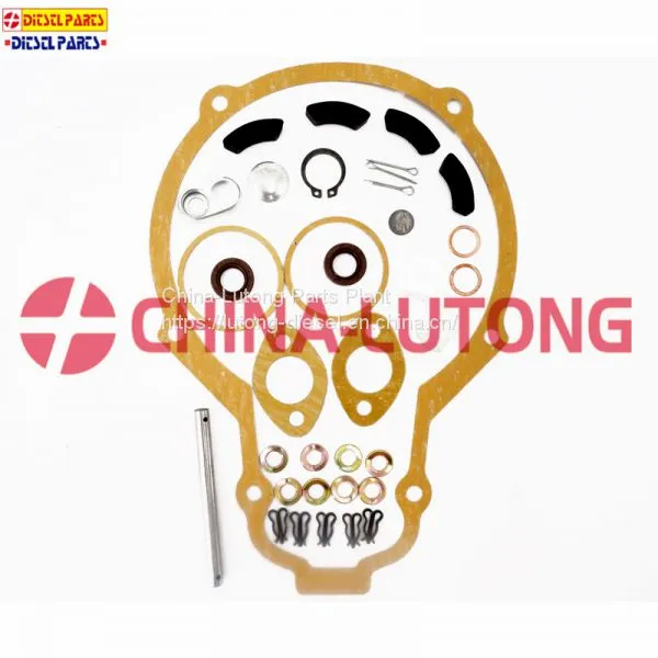 Diesel Engine Injection Pump-bosch Pump Repair Kit 2 417 010 004/800004 for ISUZU photo-5
