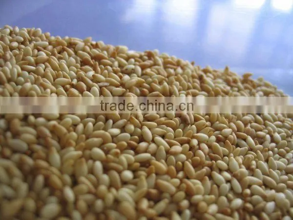 PREMIUM INDIAN SESAME SEED photo-6