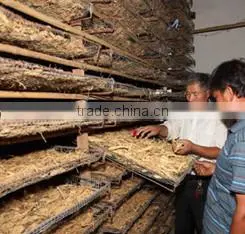 Best Selling Herbal Premium American Panax Ginseng Root Prices photo-4