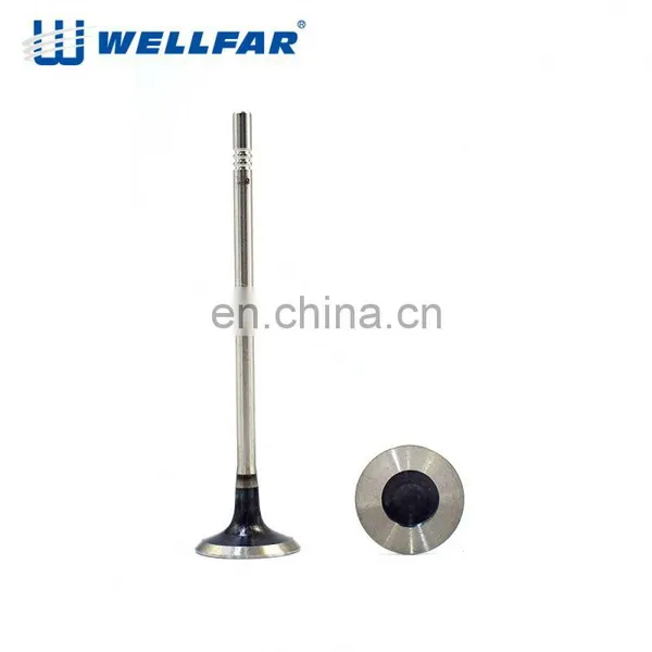 High Quality Auto Engine Intake and Exhaust Valve photo-3