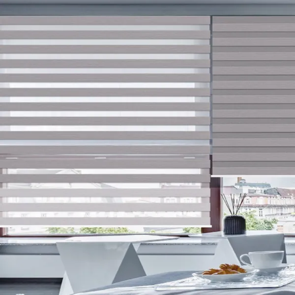 Zebra Blinds