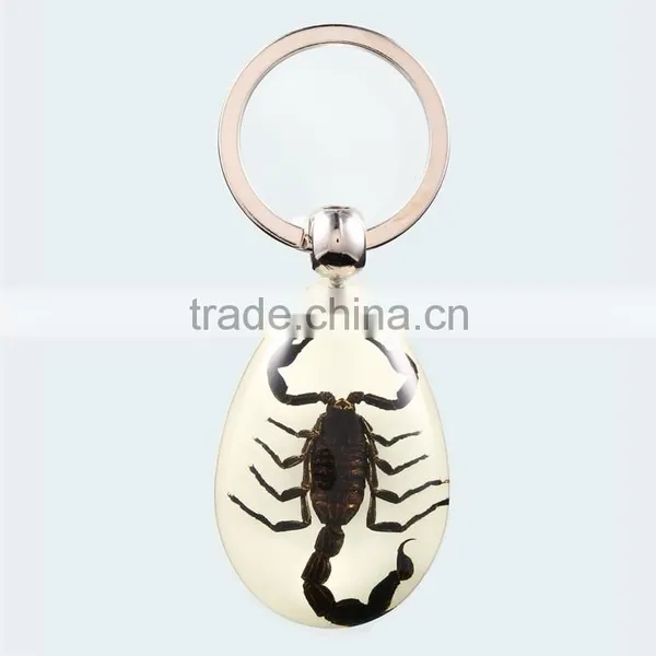 2016 New Spide Keychain With Real Insect photo-6
