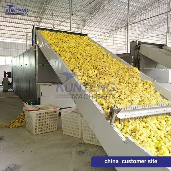 High Efficiency Bread Crumbs Garcinia Cambogia Day Lily Golden Chrysanthemum Mesh Belt Dryer photo-4