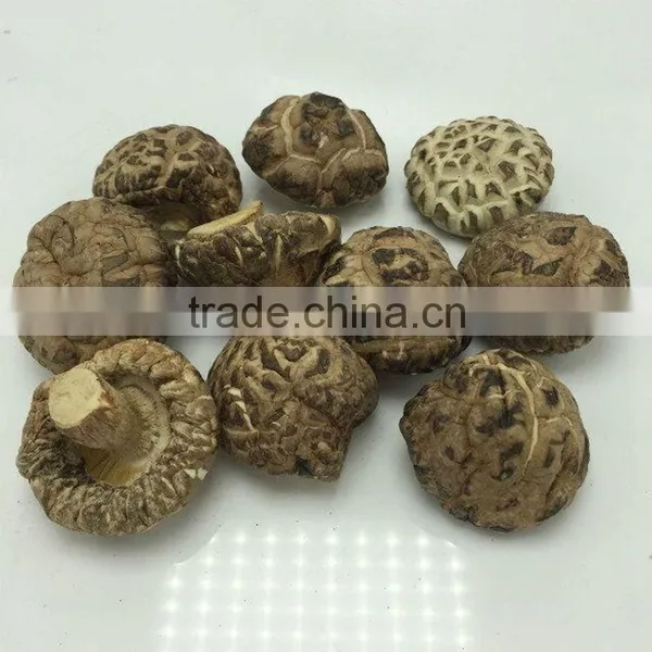 Dried Lentinus Edodes