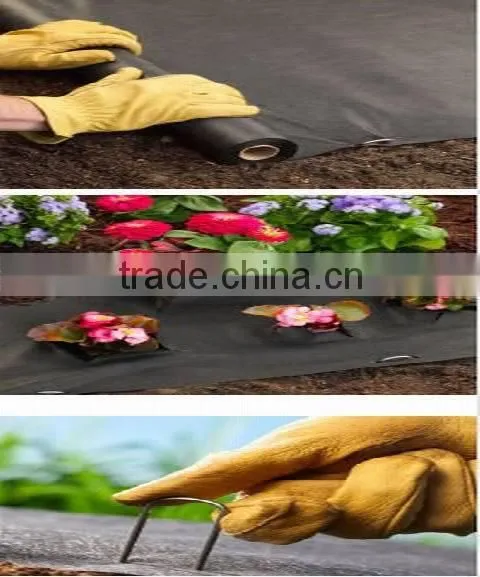 Non-woven Frost Protection Fleece Supplier