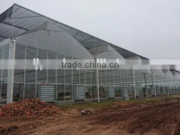200Micro Agricultural Greenhouses for Tomato photo-3