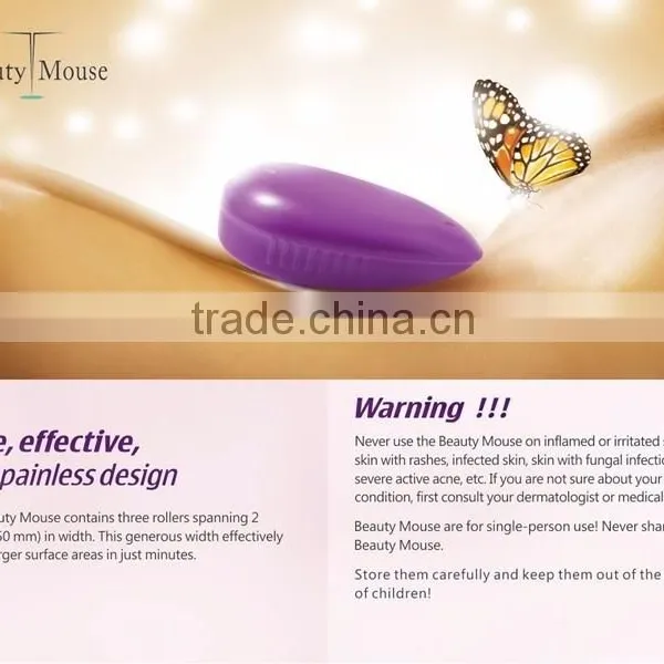 Fashion Mouse Skin Care Roller 3 In 1 Stainless Micro Needle Therapy Face Needle Roller Massager photo-2